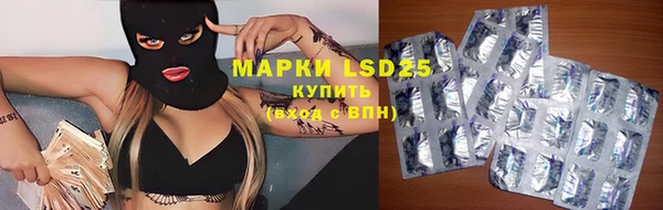 гидра Заводоуковск