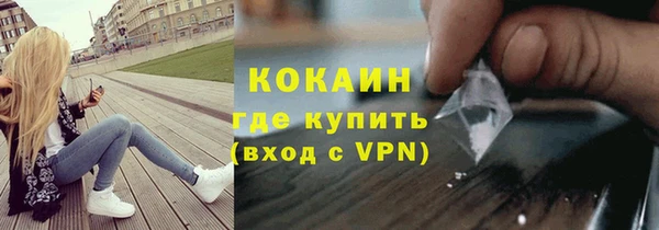 гидра Заводоуковск
