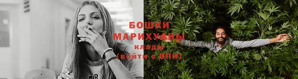 гидра Заводоуковск