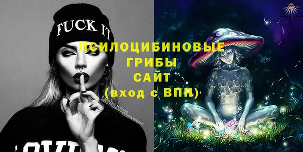 молекула духа Елабуга