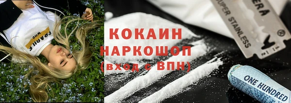 гидра Заводоуковск