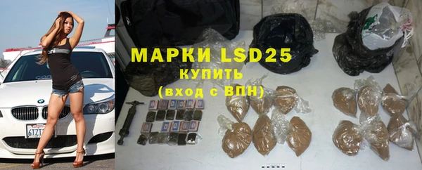прущие крисы Елизово